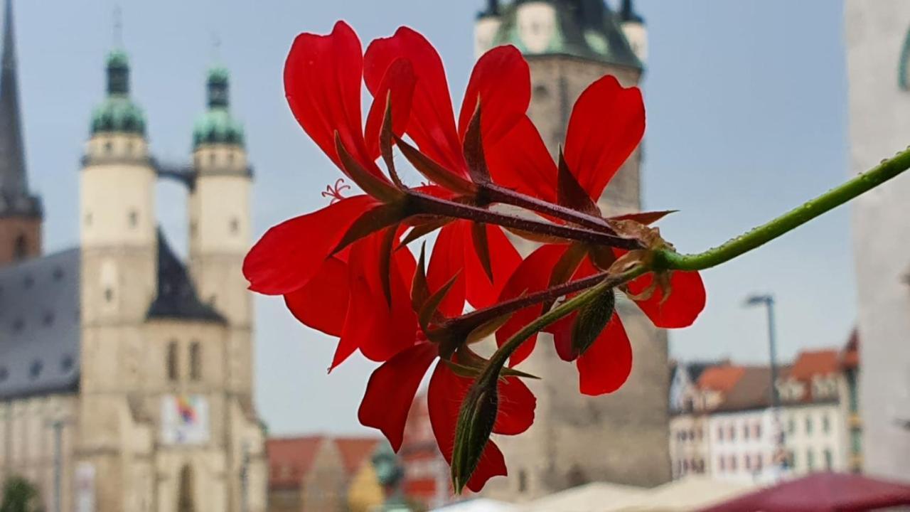 Budget Rooms In Halle With Shared Bathroom, Free Wifi, Netflix & Ipad Eksteriør billede